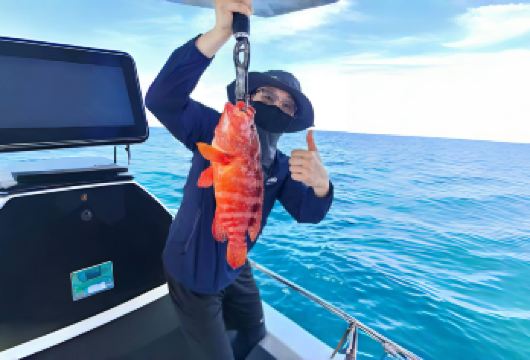 亚庇海钓|专业设备+船长在线指导+双体大船配洗手间+上门接送【专业海钓设备，鱼获可直接带走或现场加工】