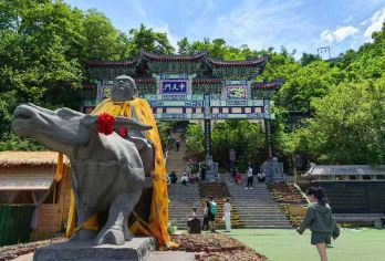 洛阳老君山景区一日游●高速直达索道口●中/高考生免门票纯玩团【[平台甄选]十年老社一手发团，真纯玩无购物，高速直达景区索道口，免小交通，】