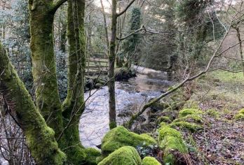 爱尔兰+都柏林+基尔根尼+圣卡尼斯一日游/行程可调-中文专车【精选热门景点，高效游玩不走回头路，深度了解文化内涵，贴心服务保障，轻松享受旅程，性价比超高的旅行。】
