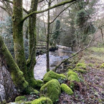 爱尔兰+都柏林+基尔根尼+圣卡尼斯一日游/行程可调-中文专车