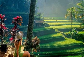 乌布亮点之旅：猴林、瀑布、寺庙和梯田。【一日游，欣赏乌布周围的壮丽景色。 专业人员提供导游服务，讲解精彩旅程。 捕捉每个瞬间的照片，留下属于自己的难忘回忆。】