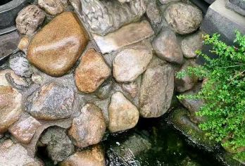 【趵突泉亲子游10人小拼团（文史大咖60分钟精讲）】【[超全时长趣味讲解]优选专业导游带您趣味畅游老济南，故事性讲解趵突泉。】