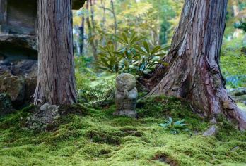 日本京都-琉璃光院-三千院-贵船神社-红叶满天 京都巡礼【专业行程定制，精选热门景点，高效游玩不走回头路，贴心服务保障，轻松】