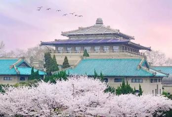 【武汉大学半日游】预约入校服务｜ 专业导游讲解1.5小时【[讲解品质]精选优质文博老师/导游讲解员，严格掌控讲解质量。】