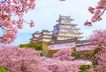 大阪 神户姬路城+有马温泉+六甲山小团一日游丨可选酒店接送【感受姫路城古老城池的壮丽之美，漫步于城堡内外，留下难忘的瞬间。】