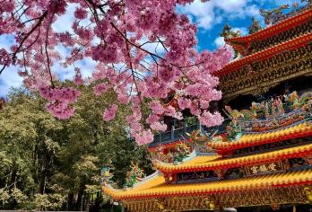 台湾  台中清泉岗机场/接机/送机+/包车/定制行程【VIP包车，私密性好，不与陌生人拼车/行程可调 可定制】