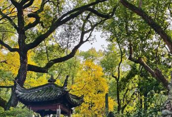 宁波citywalk半日游【天一阁+月湖+高丽使馆+鼓楼】【宁波城市citywalk漫步旅行】