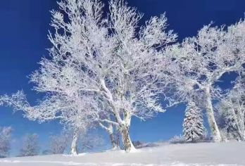 亚布力至雪乡包车含大秃顶子山+冰雪画廊+戏雪乐园540元套票【交通便捷：提供亚布力至雪乡的私享往返直通车服务，可在亚布力西站、亚布力滑雪旅游度假区酒店等地接送。】