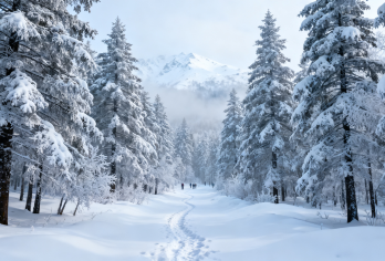 二道白河/延吉/雪岭/老李克湖一日游《包车 拼车》星级服务【一半冰封仙境，一半人间童话】