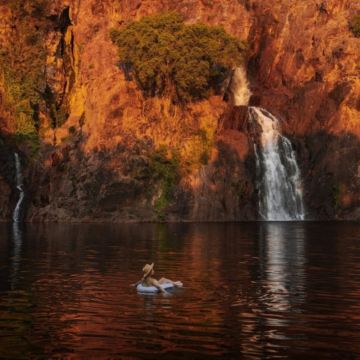 达尔文往返李治菲特国家公园一日游【鳄鱼游船/雾堤沼泽可选】