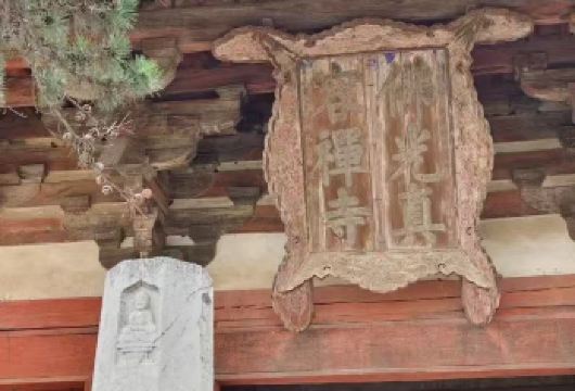 忻州出发南禅寺+佛光寺一日游【忻州市区上门接送，送火车站，高铁站，飞机场】