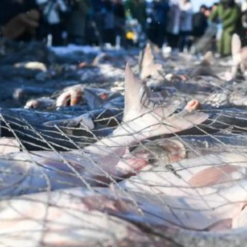 松原-查干湖｜古法冬捕+冰上娱乐｜暖车包车一日游