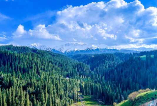 伊犁库尔德宁景区一日游【6人封顶+开车进景区+上门接送】【睡醒出发，上门接送，往返高速，行程无忧！】