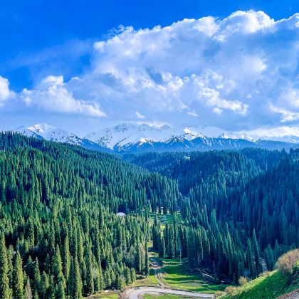 伊犁库尔德宁景区一日游【6人封顶+开车进景区+上门接送】