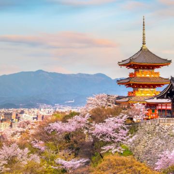 京都伏见稻荷大社+奈良公园等7大打卡热点一日游 (大阪出发)