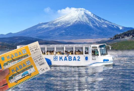 富士山网红线双湖一日游:河口湖+山中湖+大石公园+忍野八海【打卡湖畔、公园、泉水村落，富士山环线轻松玩】