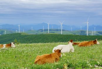 河北承德：金山岭长城+丰宁坝上草原【包车｜中英文导游】C【[VIP尊享服务] 专属包车出行，司机全程陪同，行程灵活可调，打造个性化旅程】