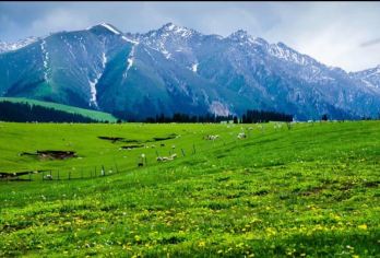 乌鲁木齐南山牧场+天山天池一日游【封顶8人小团】【1.拒绝早起/精选线路/深度体验/创新玩法/消费透明】