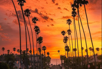 美国洛杉矶好莱坞星光大道+日落大道+比弗利山+灰石豪苑一日游【[定制包车游]专享中文司机独立包车，市区范围酒店上门接送，行程路线天数可根据个人需求调整。】