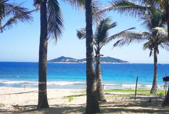 中国海南三亚东部海湾与雨林风情一日游【专车接送】【领略三亚的椰风海韵与碧波白沙，以及热带天堂森林公园的葱郁植被与登高望远，感受“山海相连”的独特魅力】