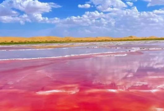 银川出发+腾格里五湖穿越+乌兰湖+滑沙/航拍+纯玩一日游【[五湖穿越]具体线路：乌兰湖+骆驼湖+天鹅湖+吉他湖+翡翠湖，玩嗨腾格里。】