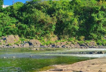 黄山阳产土楼+徽州古城+新安江山水画廊包车一日游可英文服务【阳产土楼悬秋色，徽州古城藏千年，新安江畔展画屏，皖南三绝醉江南】