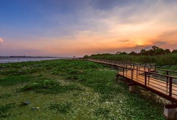 上海往返 品蟹之旅 阳澄湖莲花岛+锦溪古镇一日游【专车接送/行程可定制】