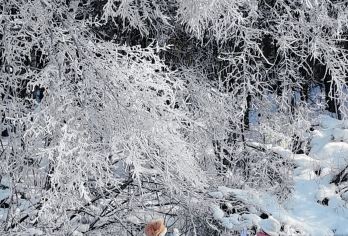 长白山魔界漂流+长白山北坡景区+长白山天池一日游【[2-6人小团 拼车游 上门接送纯玩团，二道白河止]】