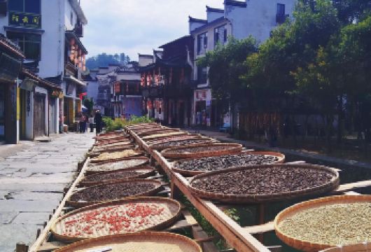 江西上饶李坑+水墨上河+江湾+篁岭包车一日游可中英文服务【可提供中英文及小语种导游服务-往返接送-可选导游】