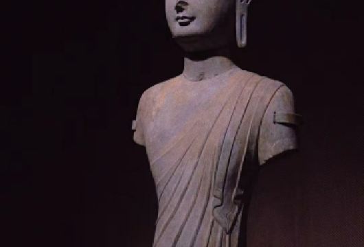 青州博物馆【齐鲁大咖说/金牌讲解15人以下精品团/蓝牙耳麦】【1.趣味性强，拒绝照本宣读】