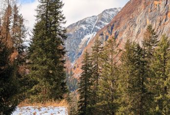 【私家团】四姑娘山双桥沟一日游【含景区观光车】【[私家出行，不与陌生人拼团]】