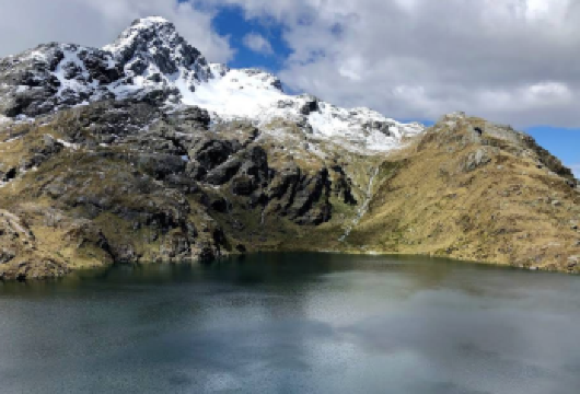 新西兰皇后镇-但尼丁-奥马鲁蓝眼企鹅【中文专车-惬意舒适】【中文专车出行，行程自己定义，无需等待，专属贴心服务，尽享惬意旅程】