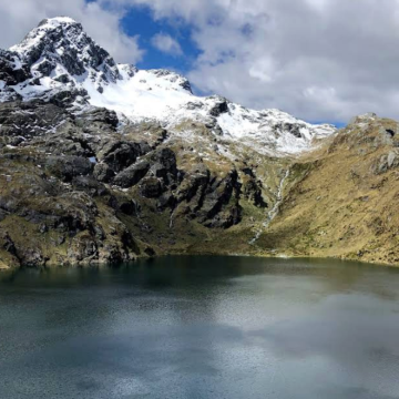 新西兰皇后镇-但尼丁-奥马鲁蓝眼企鹅【中文专车-惬意舒适】