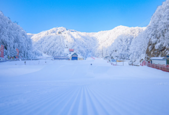 洛阳伏牛山滑雪场一日游【洛阳出发，含初级2h滑雪+往返车费】【洛阳伏牛山滑雪度假乐园是一家集户外滑雪，室内滑雪、滑冰，高山观光、休闲度假为一体的四季旅游胜地。】