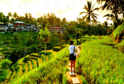 巴厘岛 巴杜尔火山+德格拉朗梯田【清晨时分，登上巴图尔火山，欣赏壮丽的日出】