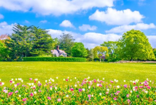 爱尔兰都柏林+圣帕特里克教堂+凤凰公园+圣三一学院+健力士啤【圣帕特里克大教堂：都柏林必打卡景点第4名。圣帕特里克大教堂是为了纪念爱尔兰的守护神圣帕特里克而建】