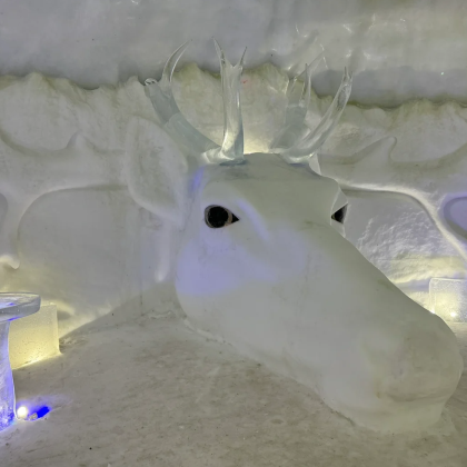 挪威雪酒店参观（包含晚餐）一日游~4小时|英文团·希尔克内斯