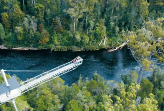 澳大利亚胡恩空中步道+黑斯廷斯洞穴+休恩河谷之旅【含接送】【一天畅游塔斯马尼亚南部精华：胡恩谷、Tahune 空中步道与 Hastings 洞穴，一次打卡自然奇】