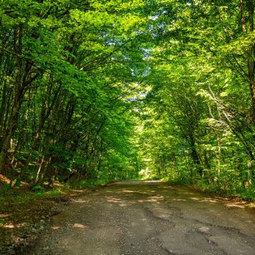 迪利扬国家公园+戈沙万克修道院+帕尔兹湖包车一日游