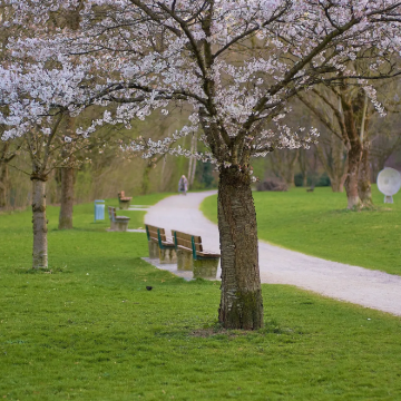 慕尼黑阿尔卑斯山脉之旅┃楚格峰+艾布湖+【中文包车出行自由】