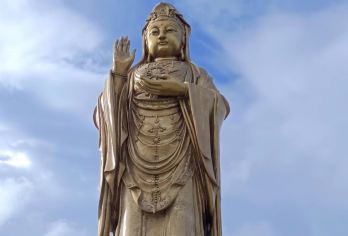 普陀山一日游【自由行.往返大巴车+往返船票+可选含门票套餐】【[省心省力] 车船我们会提前预留，不用自行排队购买.】