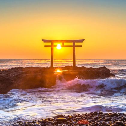 日本茨城花海美食一日游：大洗矶前神社+那珂凑海鲜市场