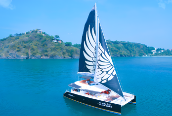 【拉查白沙滩】普吉岛皇帝岛+珊瑚岛+蜜月岛一日游【寻觅海豚】【[接送范围]全岛酒店免费接送】