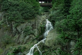 丽水—松阳：杨家堂+陈家铺+松阳老街+双童山  景点可定制G【全程中文/英文/俄语/小语种服务，沟通无障碍，景点可调,多种车型可选】