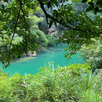 柳州鹿寨一日游【香桥岩+鹿鸣谷+响水石林+响水瀑布2人起发】