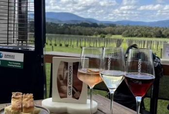 双11必满减网红桥伸腿墨尔本普芬比利小火车+亚拉河谷酒庄日游【小火车穿越丹农顿 看鹦鹉/亚拉河谷参观酒庄/亚拉河谷秀丽的风景】