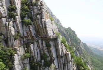 登封少林寺+三皇寨+嵩阳书院【独立包车、上门接送、多选车型】【专属座驾，自由随心——独立包车，行程自定，告别拼车等待，享受私密舒适的专属出行体验。】