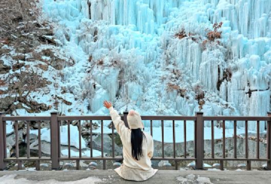 冬季限定 | 鱼飞溪谷冰川X现采草莓体验X雪橇场X羊牧场【冬季的鱼飞溪谷冰川就像一幅冰雪童话！晶莹剔透的冰壁在阳光下闪耀，让您仿佛置身于仙境般的探险之旅！】