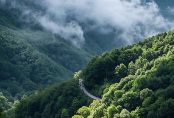 莫干山风景名胜区半日游【含门票+景区接驳+2小时人文讲解】【中国四大避暑胜地之一，史载春秋末年，干将莫邪奉吴王阖闾之命铸剑于此，莫于山因此得名。】