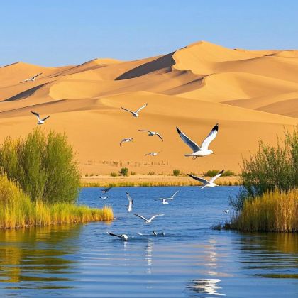 乌海一日游 网红穿沙公路乌海湖拉僧庙甘德尔山赠星星瓶